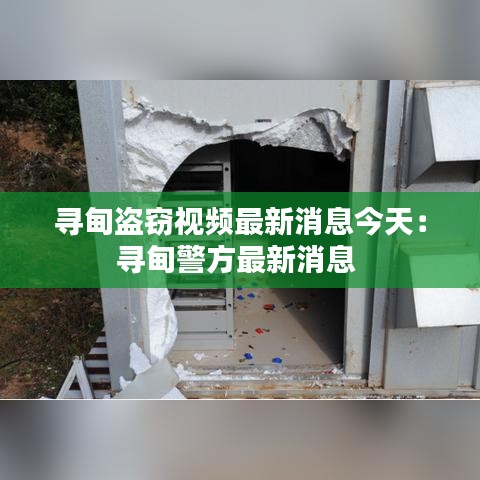 寻甸盗窃视频最新消息今天:寻甸警方最新消息