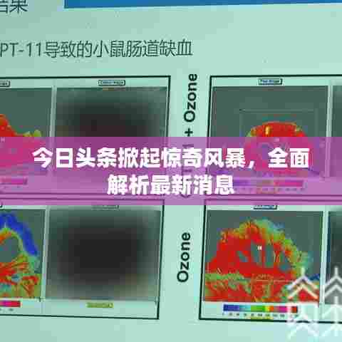 今日头条掀起惊奇风暴,全面解析最新消息