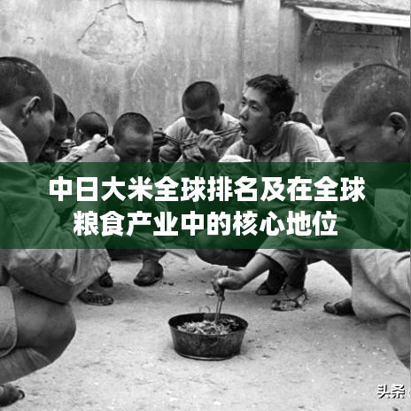 中日大米全球排名及在全球粮食产业中的核心地位