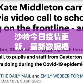 沙特今日疫情更新,最新数据揭秘!