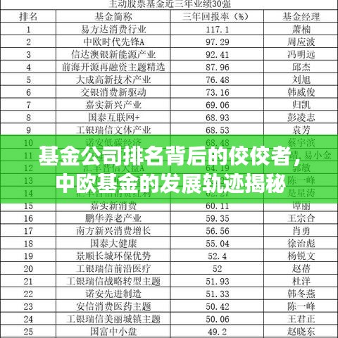 基金公司排名背后的佼佼者,中欧基金的发展轨迹揭秘