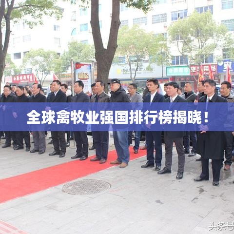 全球禽牧业强国排行榜揭晓!