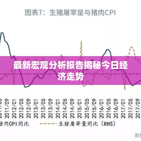 最新宏观分析报告揭秘今日经济走势