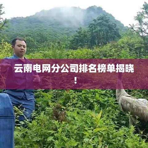 云南电网分公司排名榜单揭晓!