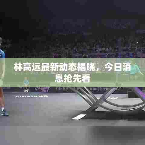 林高远最新动态揭晓,今日消息抢先看