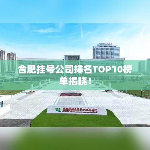 合肥挂号公司排名TOP10榜单揭晓!