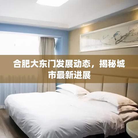 合肥大东门发展动态,揭秘城市最新进展