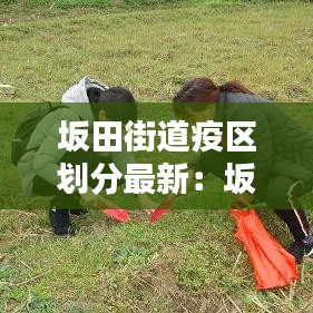 坂田街道疫区划分最新:坂田街道范围