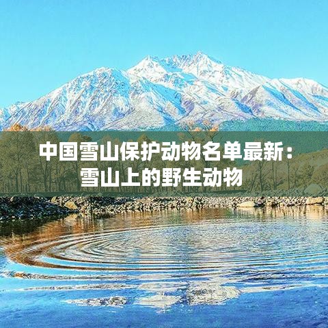 中国雪山保护动物名单最新:雪山上的野生动物