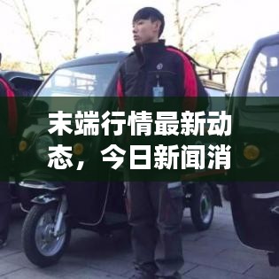 末端行情最新动态，今日新闻消息综述