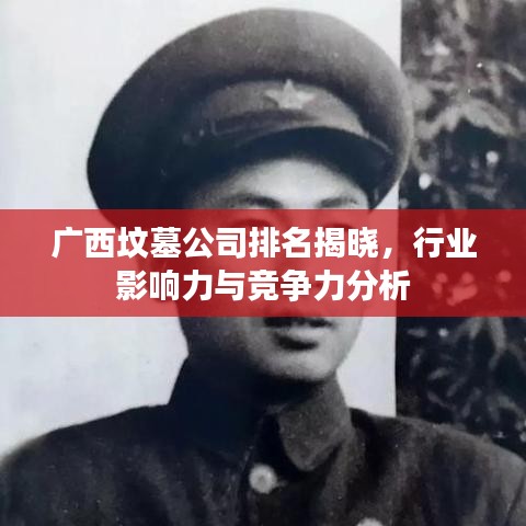 广西坟墓公司排名揭晓，行业影响力与竞争力分析