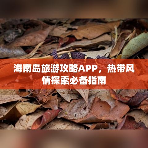 海南岛旅游攻略APP,热带风情探索必备指南