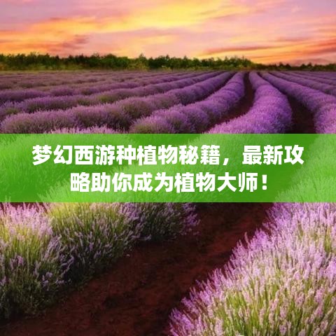 梦幻西游种植物秘籍，最新攻略助你成为植物大师！