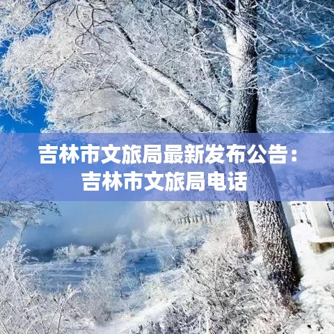 吉林市文旅局最新发布公告:吉林市文旅局电话