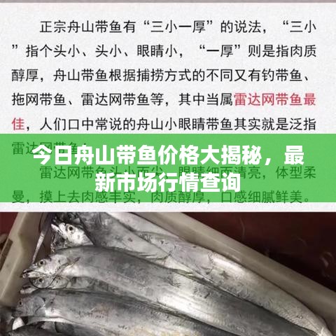 今日舟山带鱼价格大揭秘,最新市场行情查询