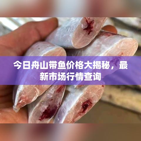 今日舟山带鱼价格大揭秘,最新市场行情查询