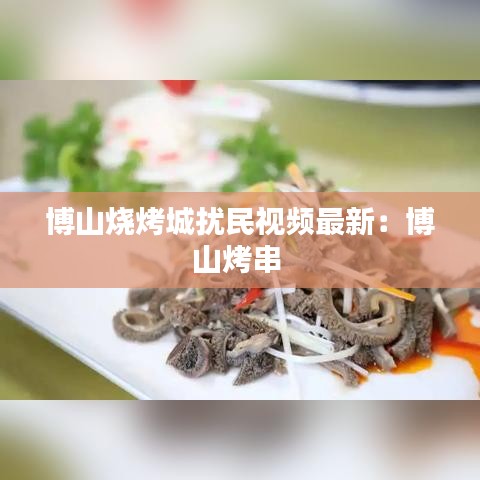 博山烧烤城扰民视频最新：博山烤串 