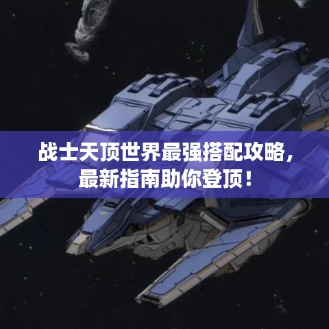 战士天顶世界最强搭配攻略,最新指南助你登顶!
