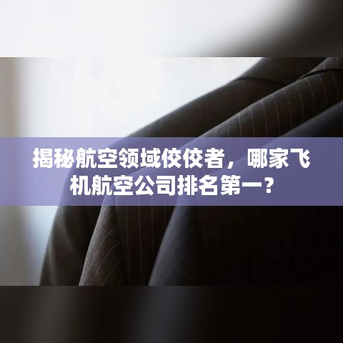 揭秘航空领域佼佼者,哪家飞机航空公司排名第一?