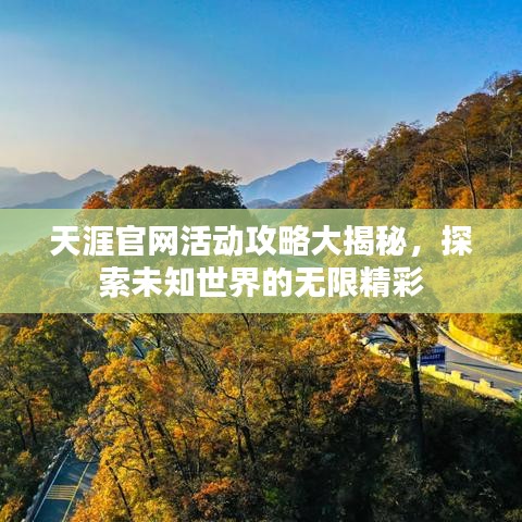 天涯官网活动攻略大揭秘，探索未知世界的无限精彩