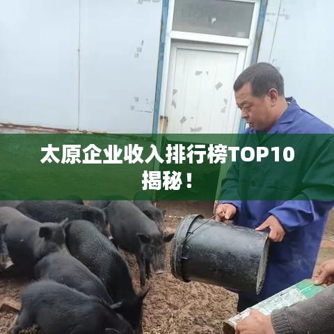 太原企业收入排行榜TOP10揭秘!