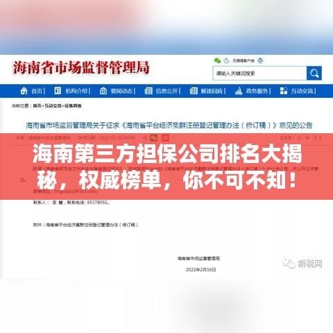 海南第三方担保公司排名大揭秘,权威榜单,你不可不知!