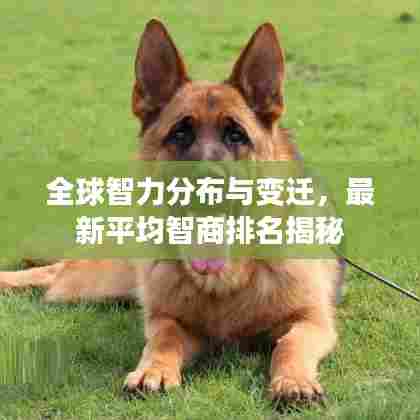 全球智力分布与变迁,最新平均智商排名揭秘