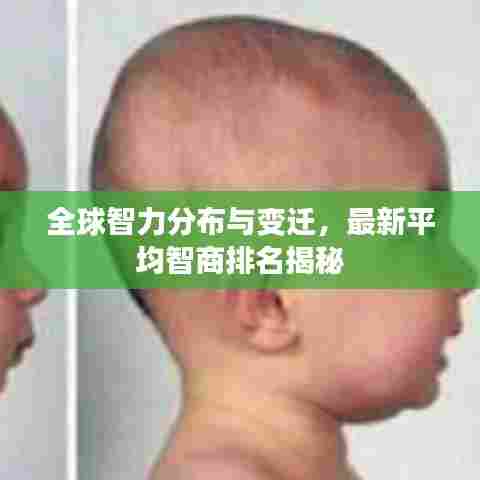 全球智力分布与变迁,最新平均智商排名揭秘