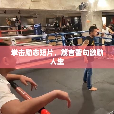 拳击励志短片,箴言警句激励人生