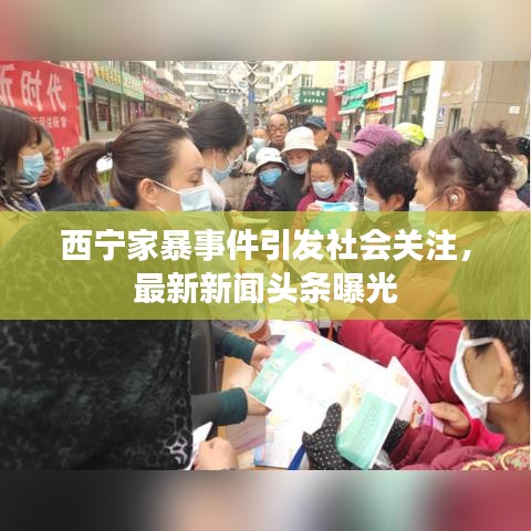 西宁家暴事件引发社会关注,最新新闻头条曝光