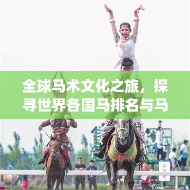 全球马术文化之旅,探寻世界各国马排名与马术魅力