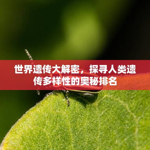 世界遗传大解密,探寻人类遗传多样性的奥秘排名