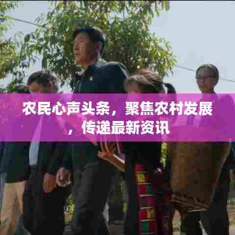 农民心声头条,聚焦农村发展,传递最新资讯