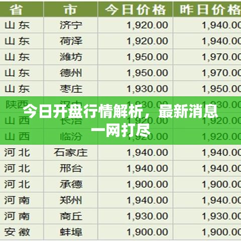 今日开盘行情解析,最新消息一网打尽