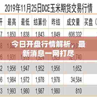 今日开盘行情解析,最新消息一网打尽