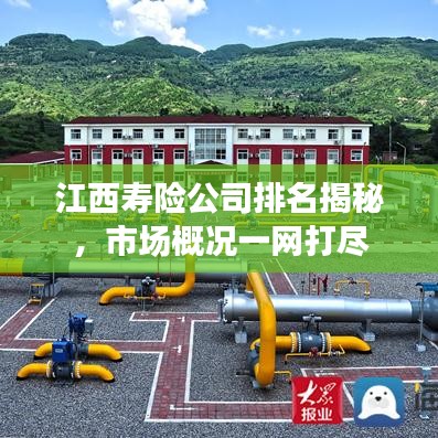 江西寿险公司排名揭秘,市场概况一网打尽