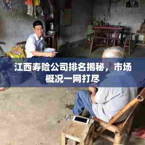 江西寿险公司排名揭秘,市场概况一网打尽