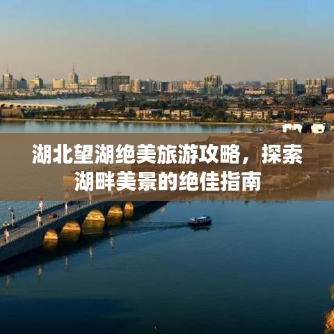 水浄鹅飞 第4页