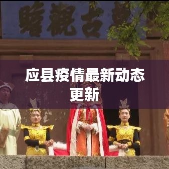 应县疫情最新动态更新