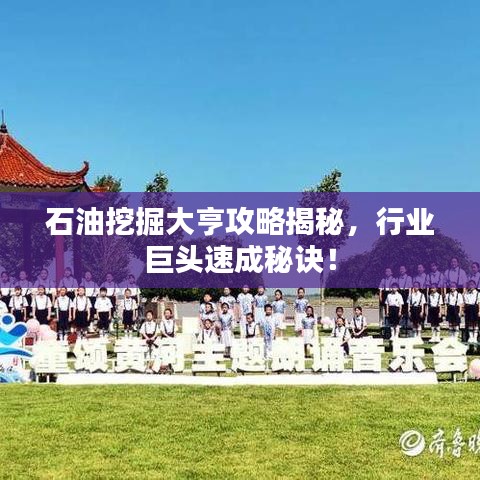 石油挖掘大亨攻略揭秘,行业巨头速成秘诀!