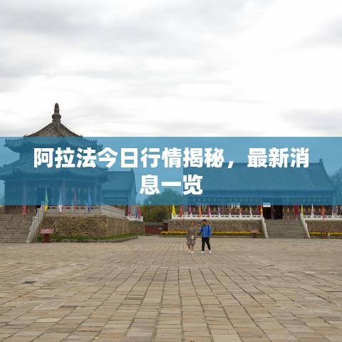 阿拉法今日行情揭秘，最新消息一览