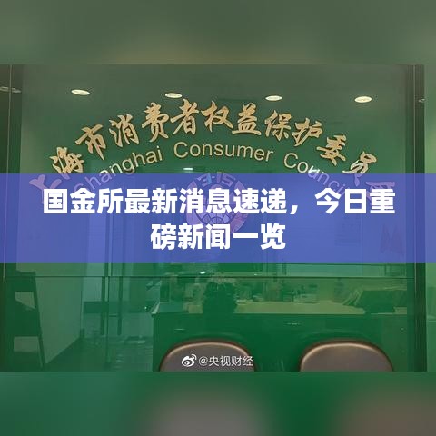 国金所最新消息速递,今日重磅新闻一览