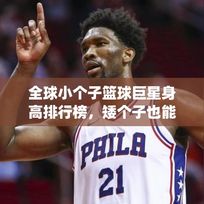全球小个子篮球巨星身高排行榜,矮个子也能撑起篮球梦!