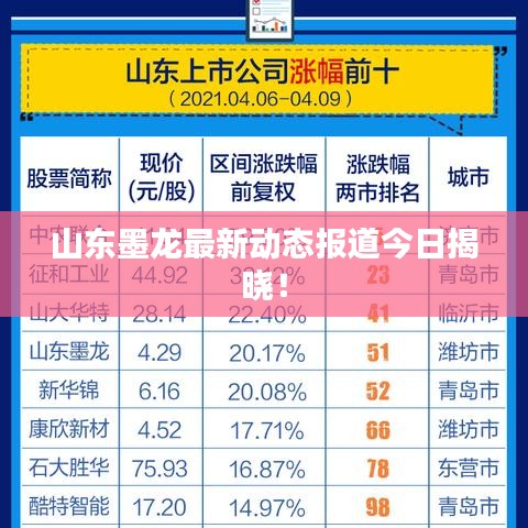 山东墨龙最新动态报道今日揭晓！