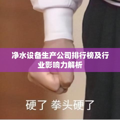 净水设备生产公司排行榜及行业影响力解析