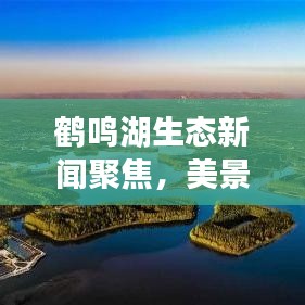 鹤鸣湖生态新闻聚焦，美景与可持续未来的完美融合