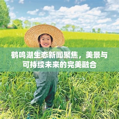 鹤鸣湖生态新闻聚焦,美景与可持续未来的完美融合