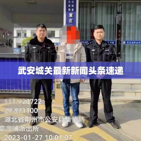 武安城关最新新闻头条速递