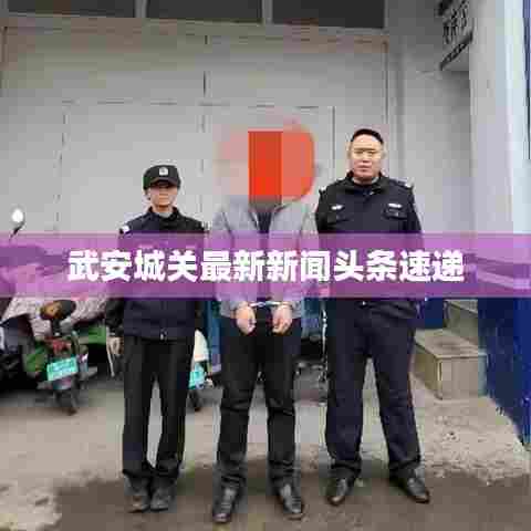 武安城关最新新闻头条速递