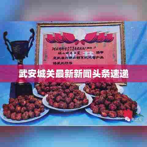 武安城关最新新闻头条速递